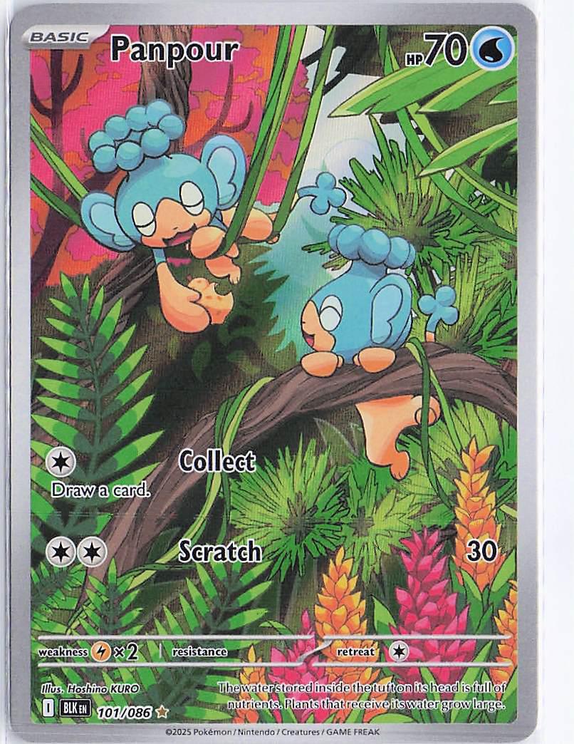 Panpour 101/086