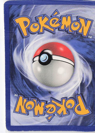 Delibird 21/109