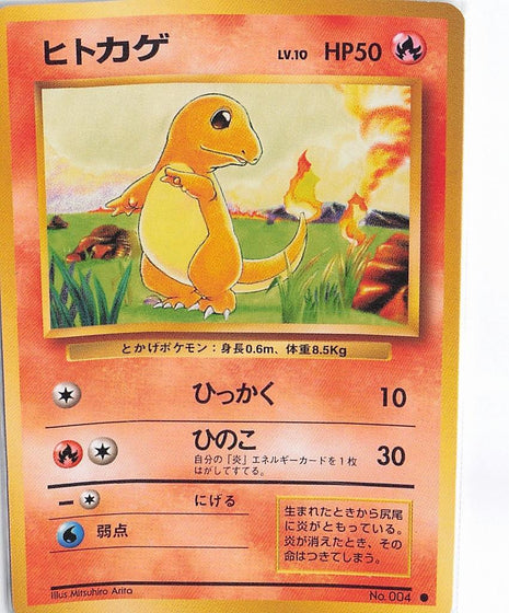 Charmander LV.10 No.004