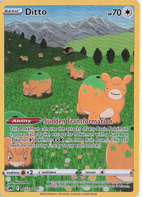 Ditto GG22/GG70