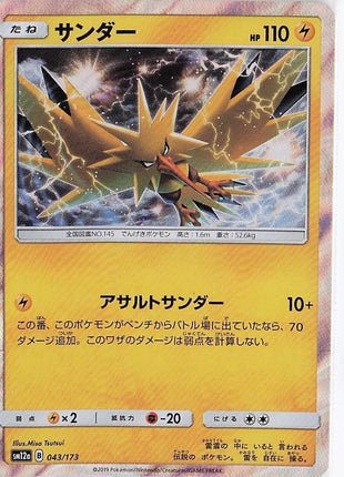 Zapdos 043/173 (H)