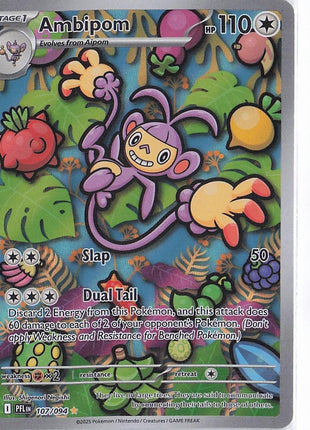 Ambipom 107/094