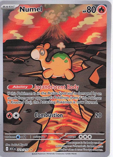 Numel 223/217