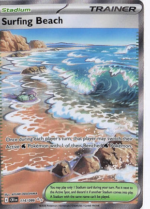 Surfing Beach 114/086