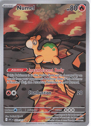Numel 223/217