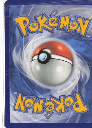 Pikachu 25/25 (H)(S)