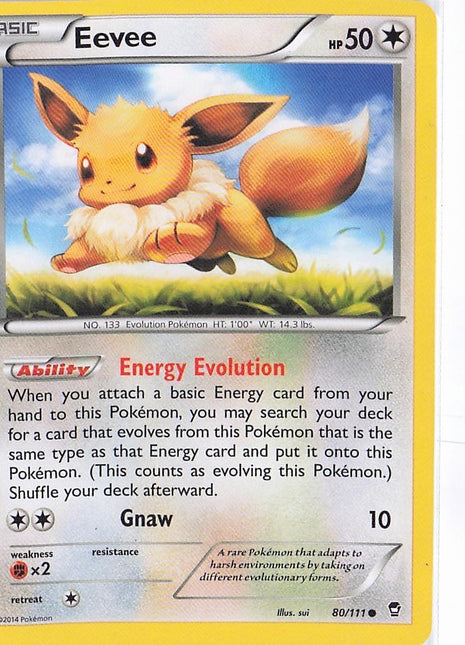 Eevee 80/111