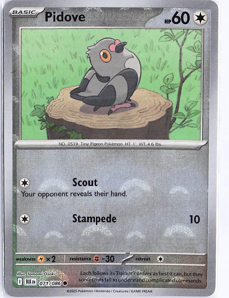 Pidove 071/086 (Pokeball)