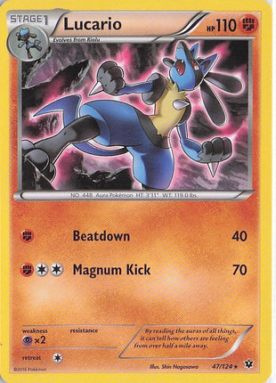 Lucario 47/124