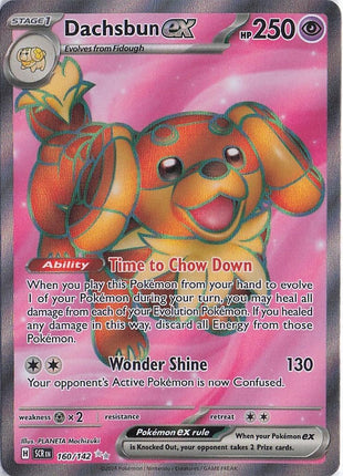 Dachsbun ex 160/142