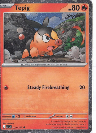 Tepig 029/217