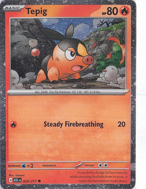 Tepig 029/217