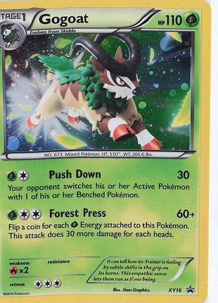 Gogoat XY16