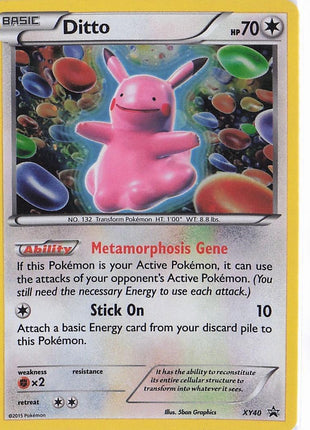 Ditto XY40