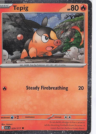 Tepig 029/217 (Cosmic)