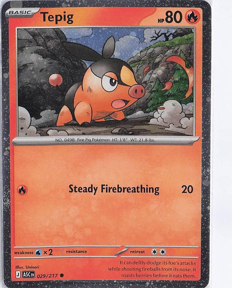 Tepig 029/217 (Cosmic)