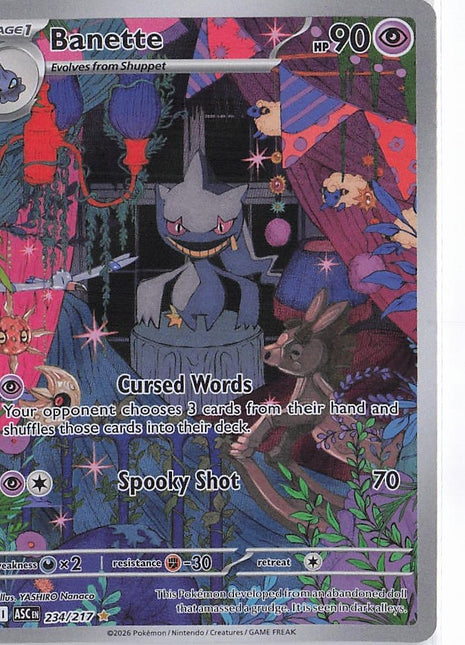 Banette 234/217