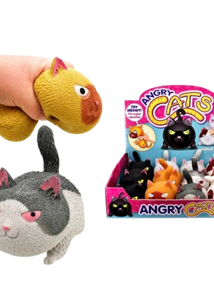 Angry Cats
