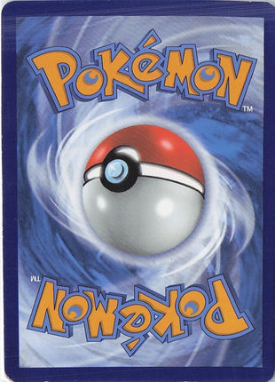 Arceus V 166/172