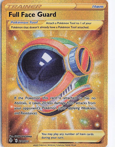 Full Face Guard 231/203