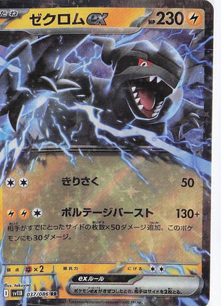 Zekrom ex 037/086