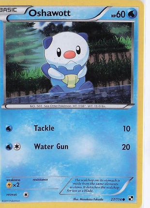 Oshawott 27/114 (H)