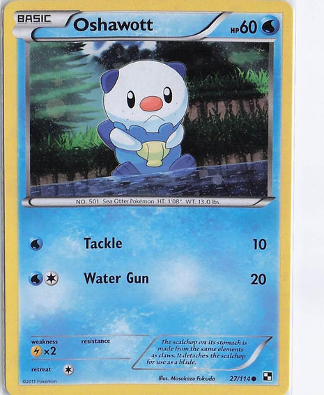 Oshawott 27/114 (H)