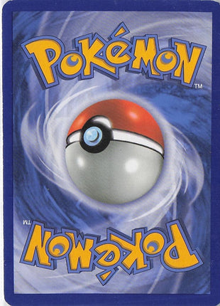 Blastoise EX 29/146