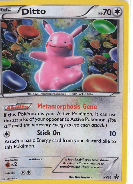 Ditto XY40
