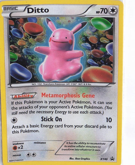 Ditto XY40