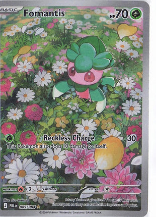 Fomantis 085/084