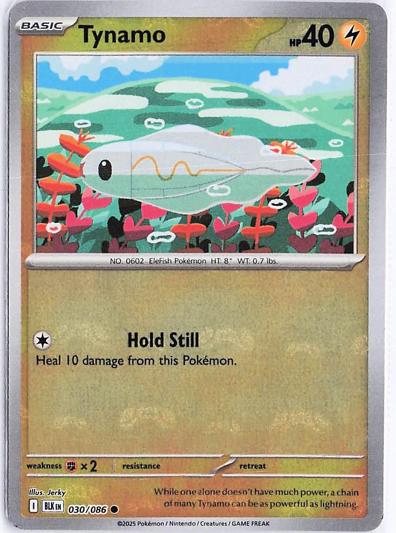 Tynamo 030/086 (MasterBall)