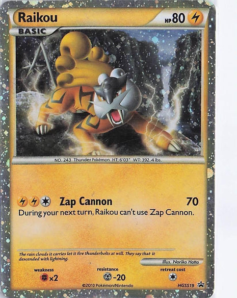 Raikou HGSS19