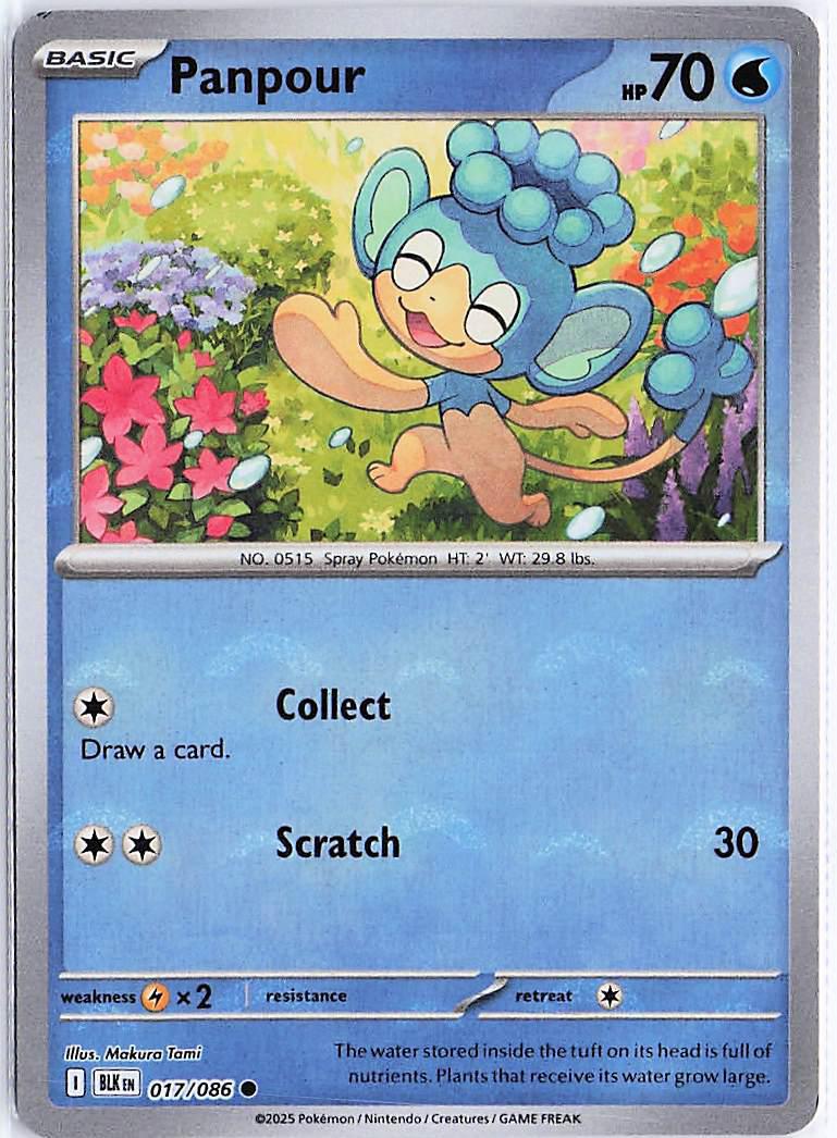 Panpour 017/086 (Pokeball)