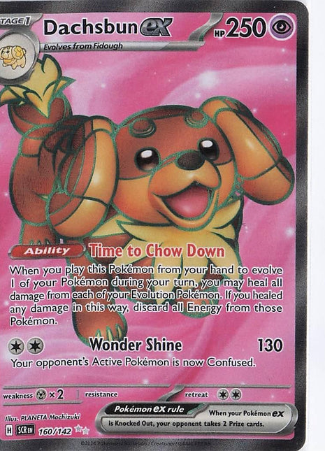 Dachsbun ex 160/142