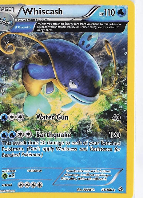 Whiscash 41/160