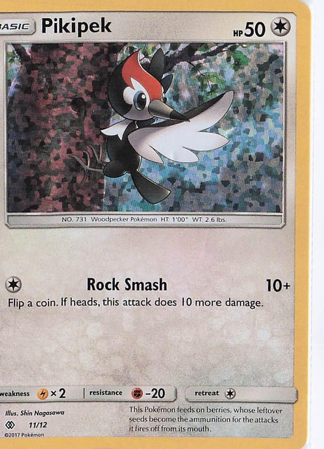 Pikipek 11/12 (H)