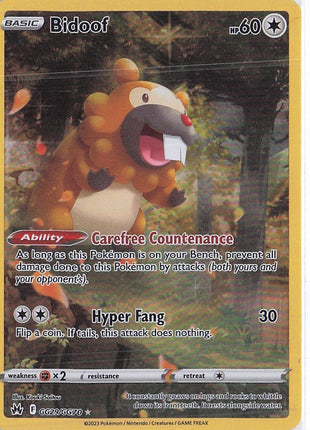 Bidoof GG29/GG70