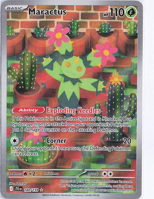 Maractus 160/159