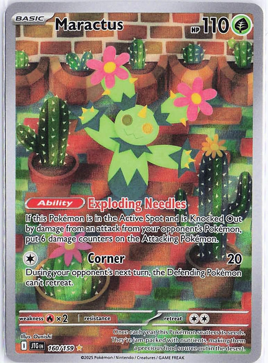 Maractus 160/159