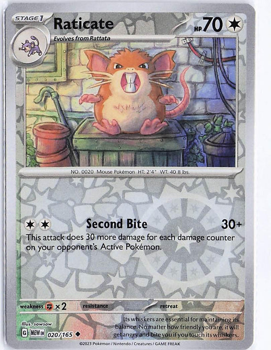 Raticate 020/165 (RH)