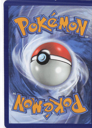 Charizard V 017/172