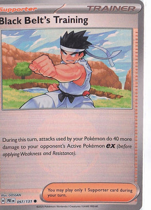 Black Belt’s Training 097/131 (Pokeball)
