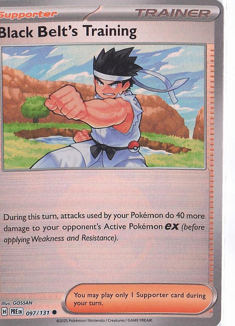 Black Belt’s Training 097/131 (Pokeball)