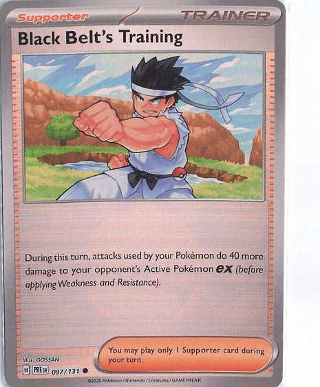 Black Belt’s Training 097/131 (Pokeball)