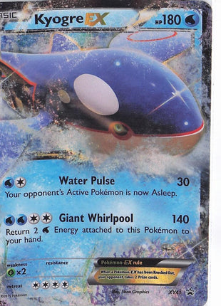 Kyogre EX XY41 (D)