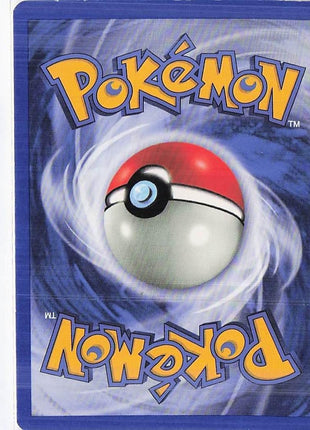 Sneasel 24/64