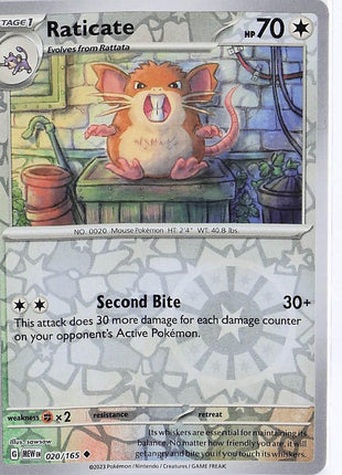 Raticate 020/165 (RH)