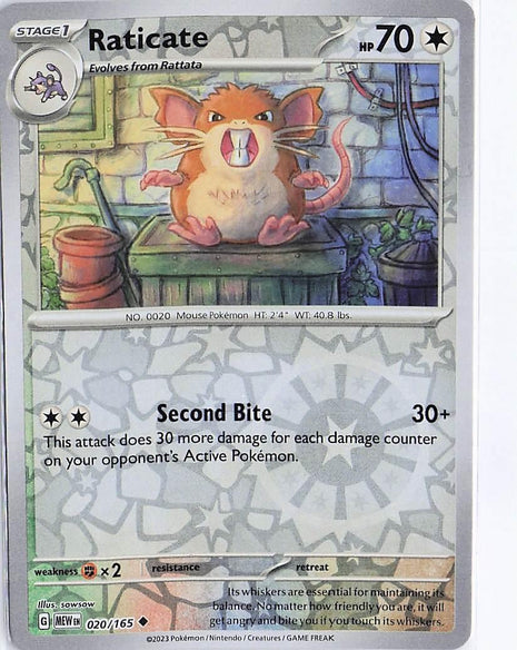 Raticate 020/165 (RH)