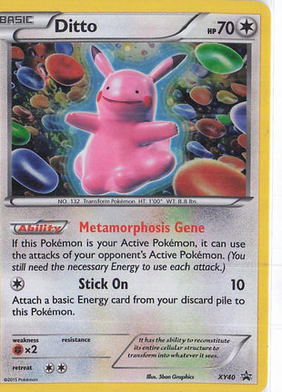 Ditto XY40